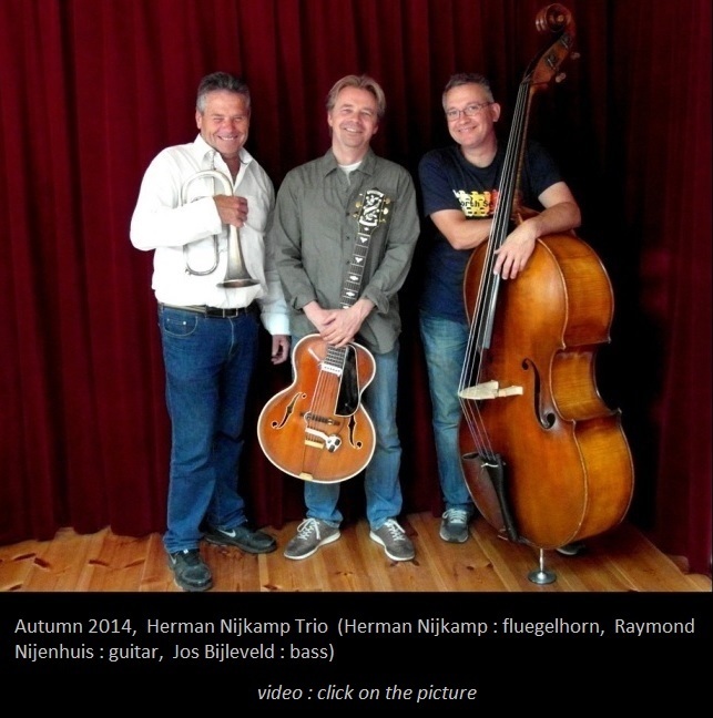 HermanNijkamp Trio